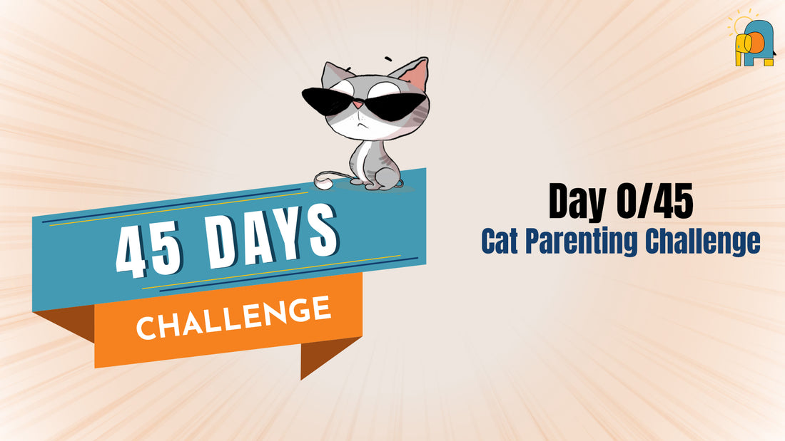 45 Days Cat Parenting Challenge 