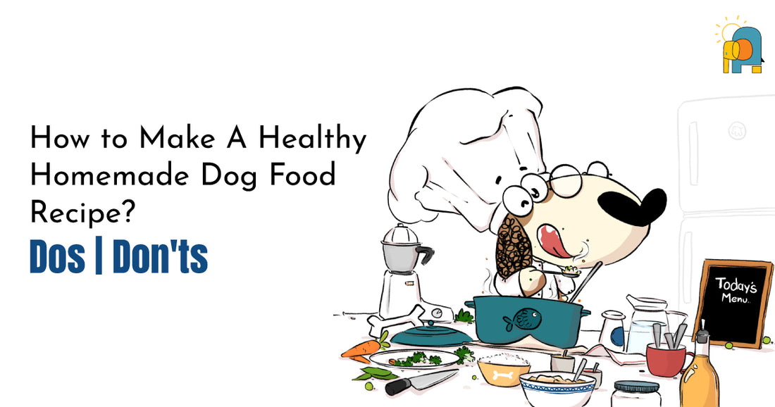 How To Make A Healthy Homemade Dog Food Recipe? Dos | Don'ts