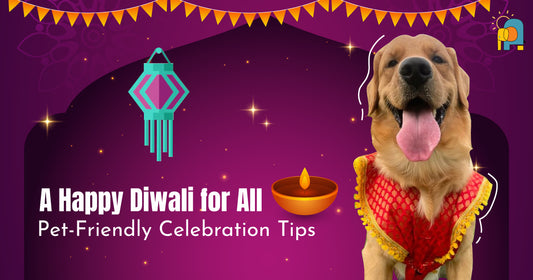 Pet-friendly diwali celebration