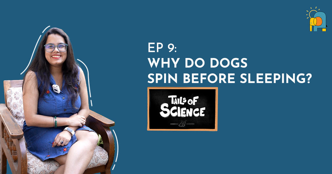 EP9:Why do Dogs Spin Before Sleeping - Tails of Science