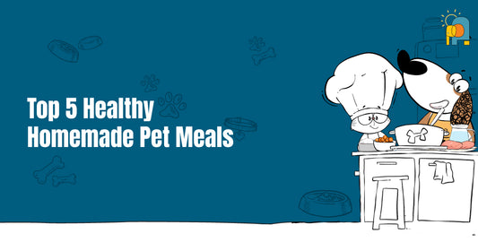 Top 5 Healthy Homemade Pet Meals