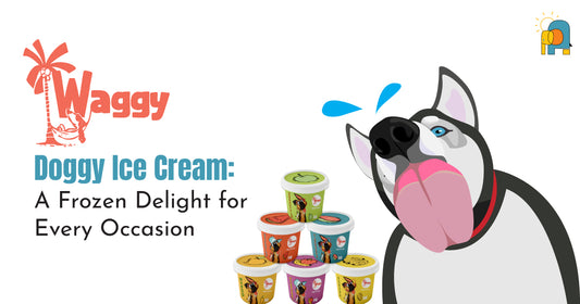 Waggy Zone Doggy Ice Cream: A Frozen Delight for Every Occasion