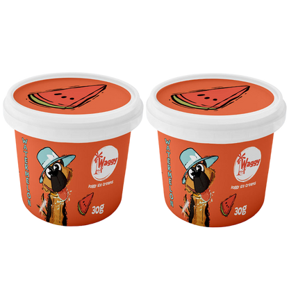 Waggy Zone Ice Cream Treat for Dogs, Puppies & Cats - Instamix, Water Melon Flavour