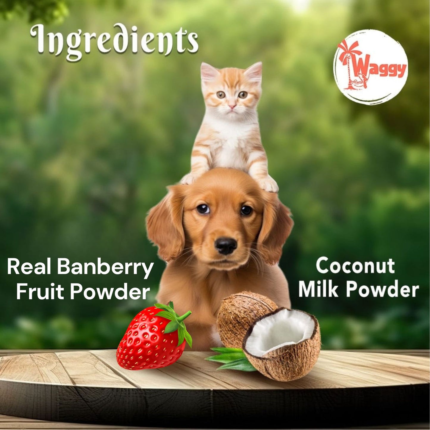 Waggy Zone Ice Cream Treat for Dogs, Puppies & Cats - Instamix, Banberry Flavour