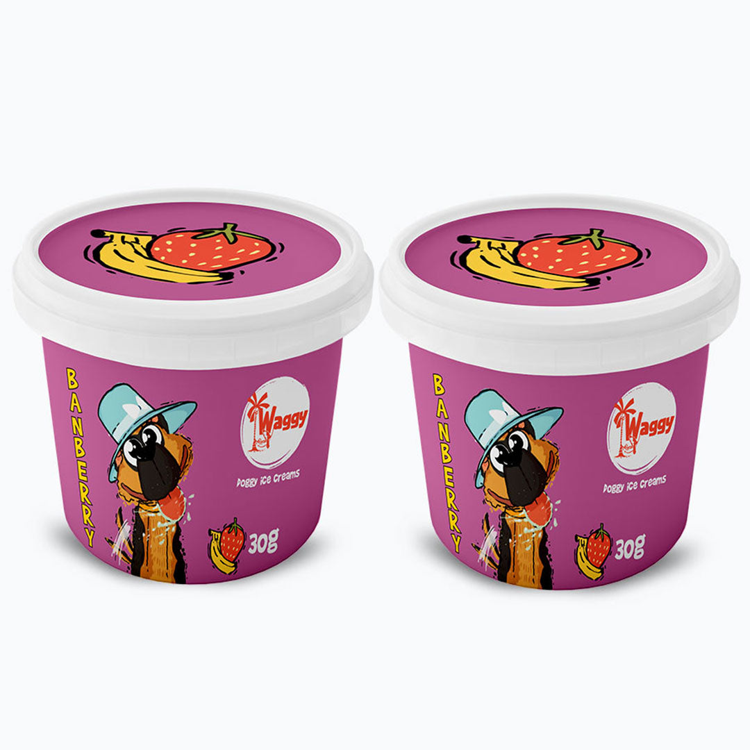 Waggy Zone Ice Cream Treat for Dogs, Puppies & Cats - Instamix, Banberry Flavour