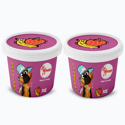 Waggy Zone Ice Cream Treat for Dogs, Puppies & Cats - Instamix, Banberry Flavour