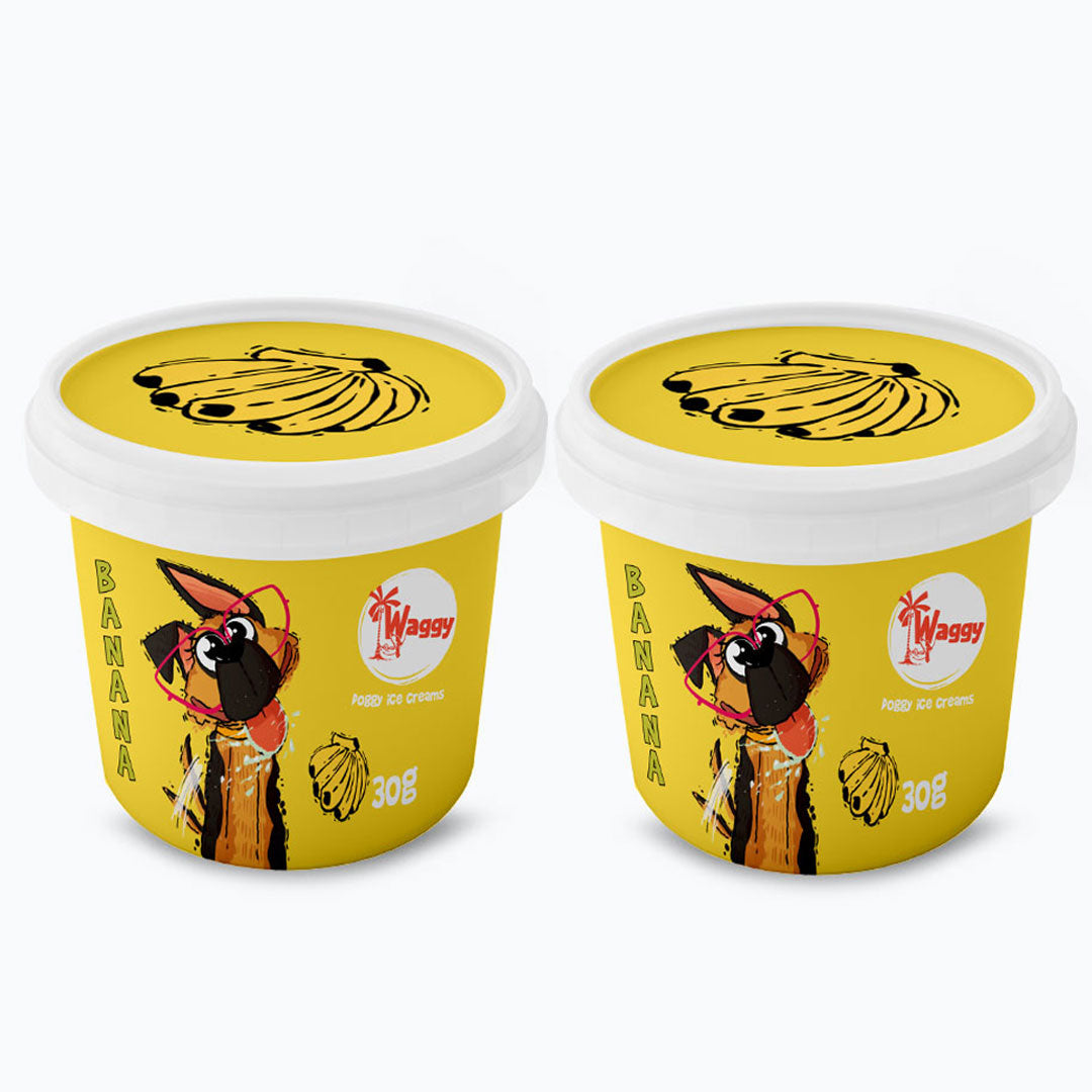 Waggy Zone Ice Cream Treat for Dogs, Puppies & Cats - Instamix, Banana Flavour