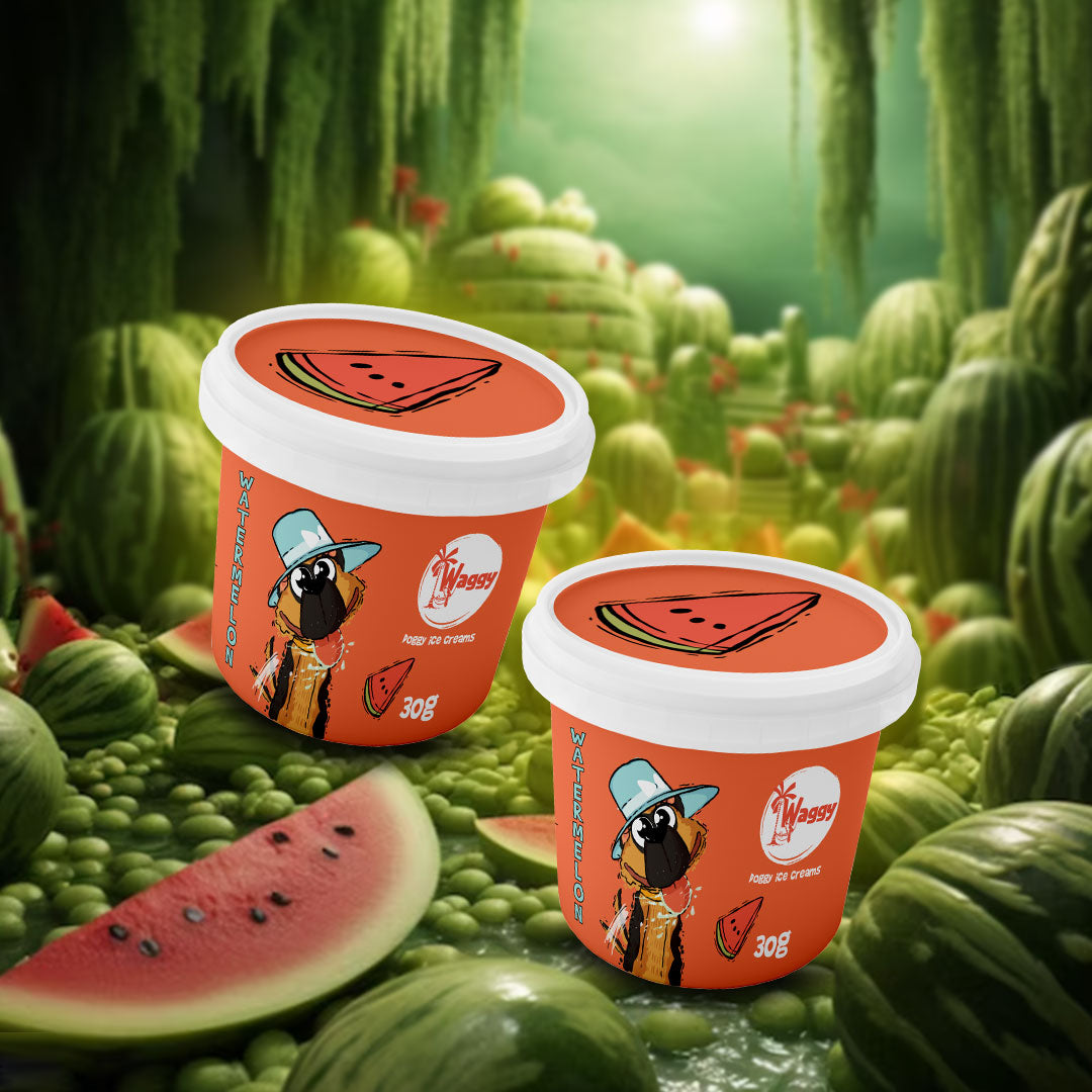 Waggy Zone Ice Cream Treat for Dogs, Puppies & Cats - Instamix, Water Melon Flavour