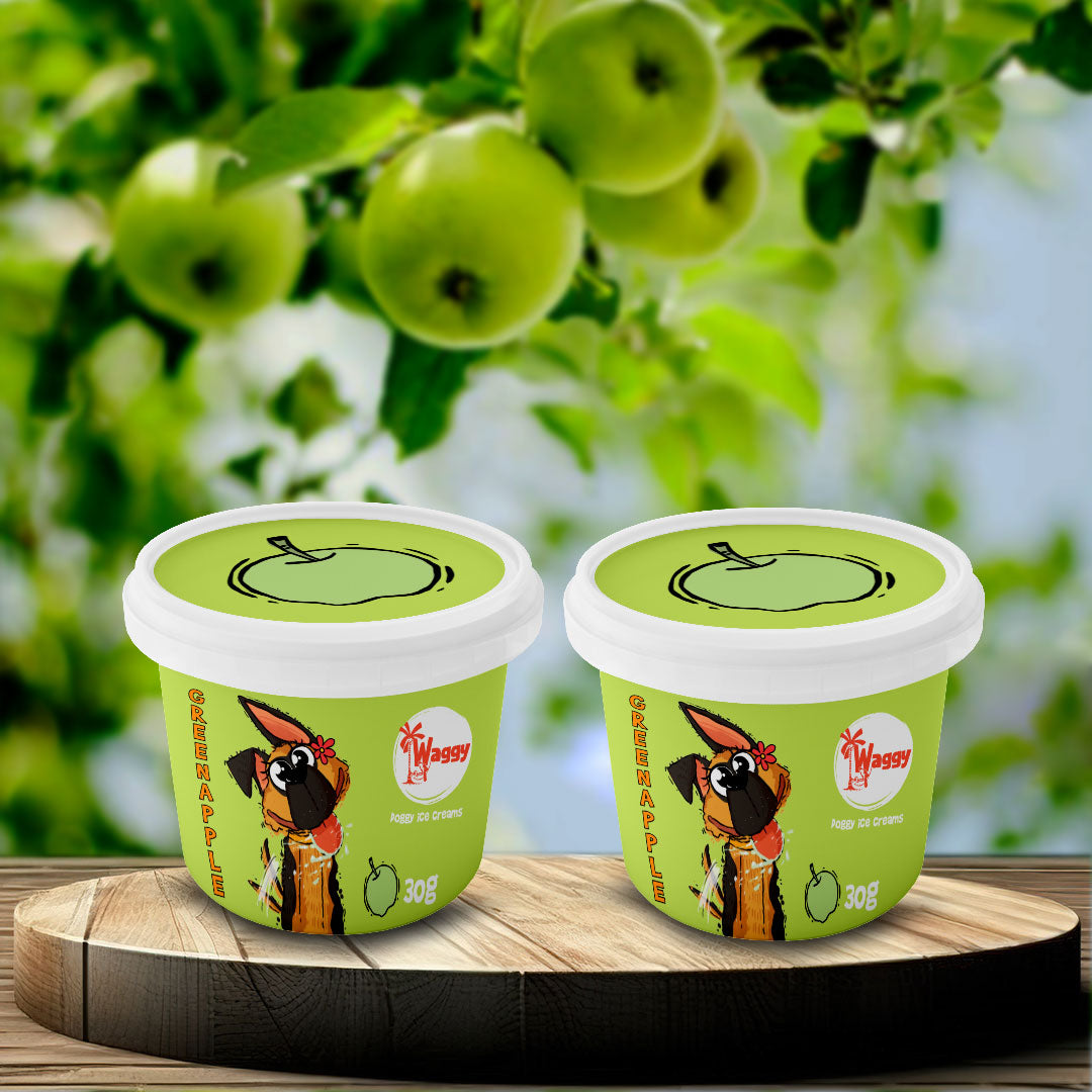 Waggy Zone Ice Cream Treat for Dogs, Puppies & Cats - Instamix, Green Apple Flavour