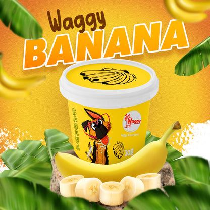 Waggy Zone Ice Cream Treat for Dogs, Puppies & Cats - Instamix, Banana Flavour