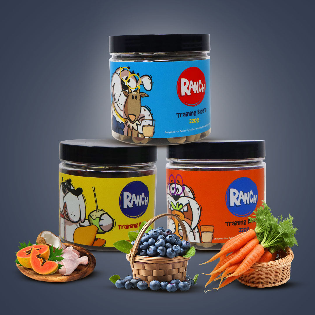 Waggy Zone x Ranch Dog Training Bites for Adults & Puppies, Dog Treat with Coconut Papaya & Chicken Flavour (200 gm), Goats Milk & Carrot Flavour (220 gm), Goats Milk & Bluberry Flavour (220 gm) (Combo Pack)