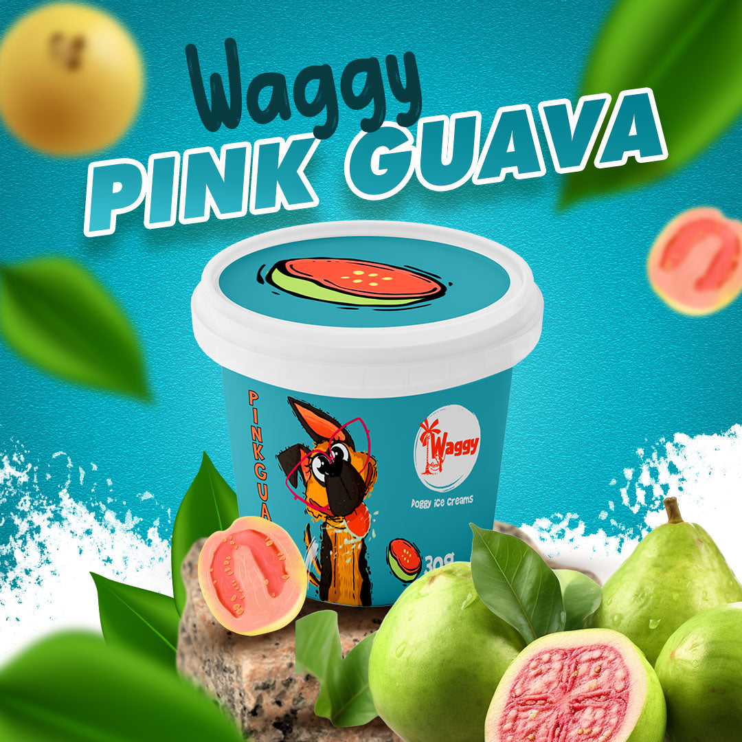 Waggy Zone Ice Cream Treat for Dogs, Puppies & Cats - Instamix, Pink Guava Flavour