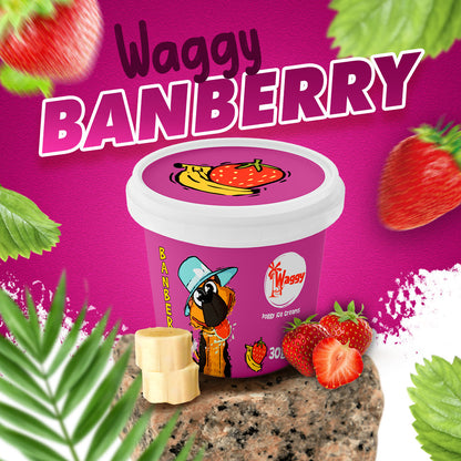 Waggy Zone Ice Cream Treat for Dogs, Puppies & Cats - Instamix, Banberry Flavour