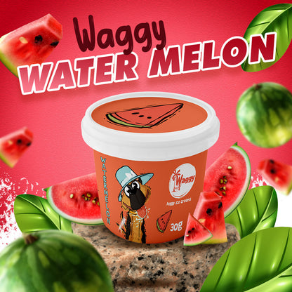 Waggy Zone Ice Cream Treat for Dogs, Puppies & Cats - Instamix, Water Melon Flavour