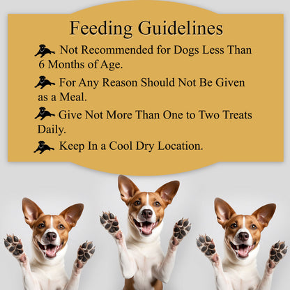 Waggy Zone x Ranch Dog Training Bites for Adults & Puppies, Dog Treat with Goat's Milk & Pumpkin Flavour (220 gm) (Pack of 3)