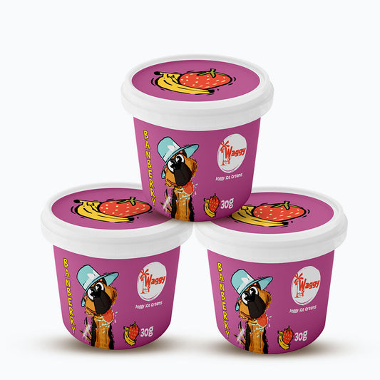 Waggy Zone Ice Cream Treat Powder - Banberry  30Gm - Pack of 3