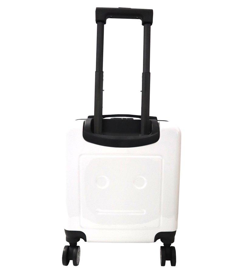 Pet Luggage Carrier