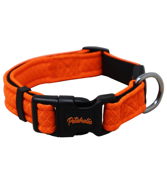 Petaholic Air Mesh Collar 25mm - M