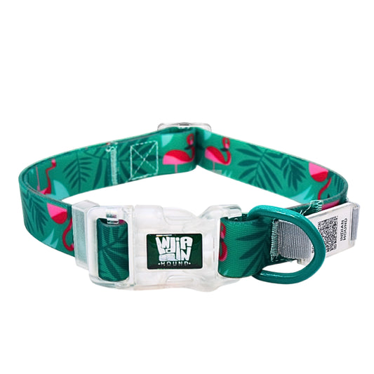 Indian Hound Duratuff Collar (XS - Green)  for Dogs  with QR Tag