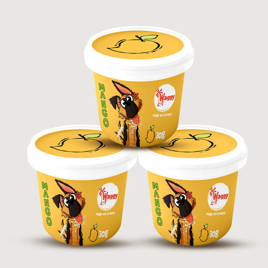 Waggy Zone Ice Cream Treat Powder - Mango  30Gm - Pack of 3