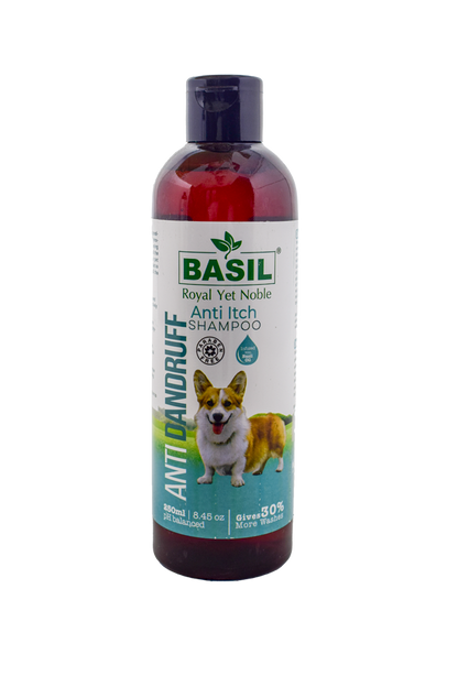 Basil Anti Dandruff Shampoo (250 ml)