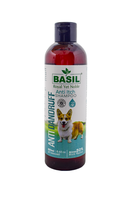 Basil Anti Dandruff Shampoo (250 ml)