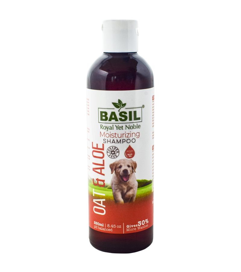 Basil Oat & Alovera Shampoo (250 ml)