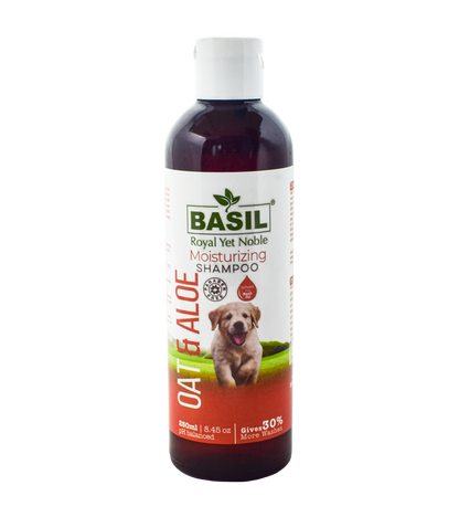 Basil Oat & Alovera Shampoo (250 ml)