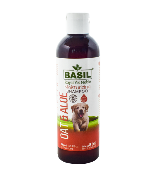 Basil Oat & Alovera Shampoo (250 ml)