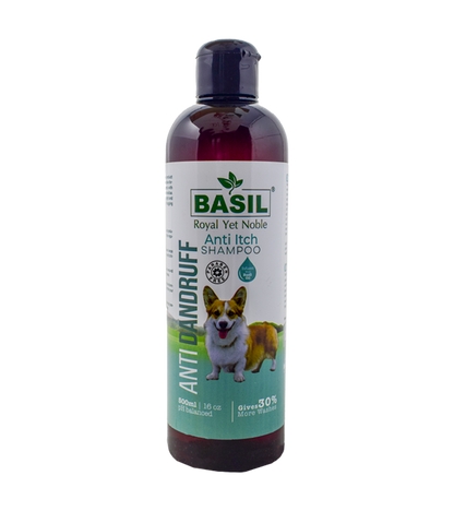 Basil Anti Dandruff Shampoo (500 ml)