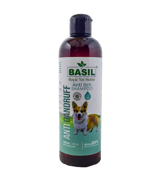 Basil Anti Dandruff Shampoo (500 ml)