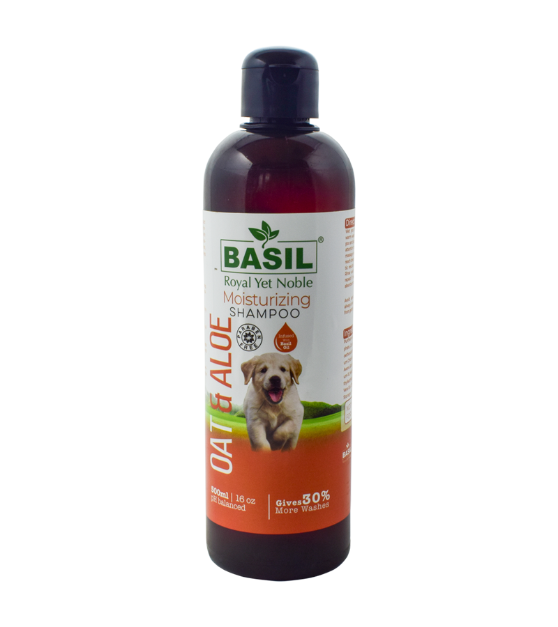 Basil Oat & Alovera Shampoo (500 ml)