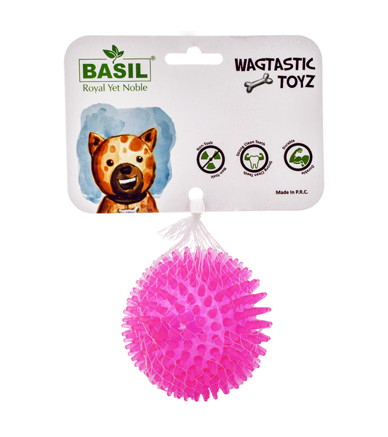 Basil TPR Squeaky Ball