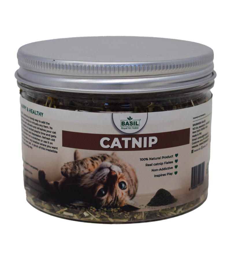 Basil Catnip Jar (30gm)