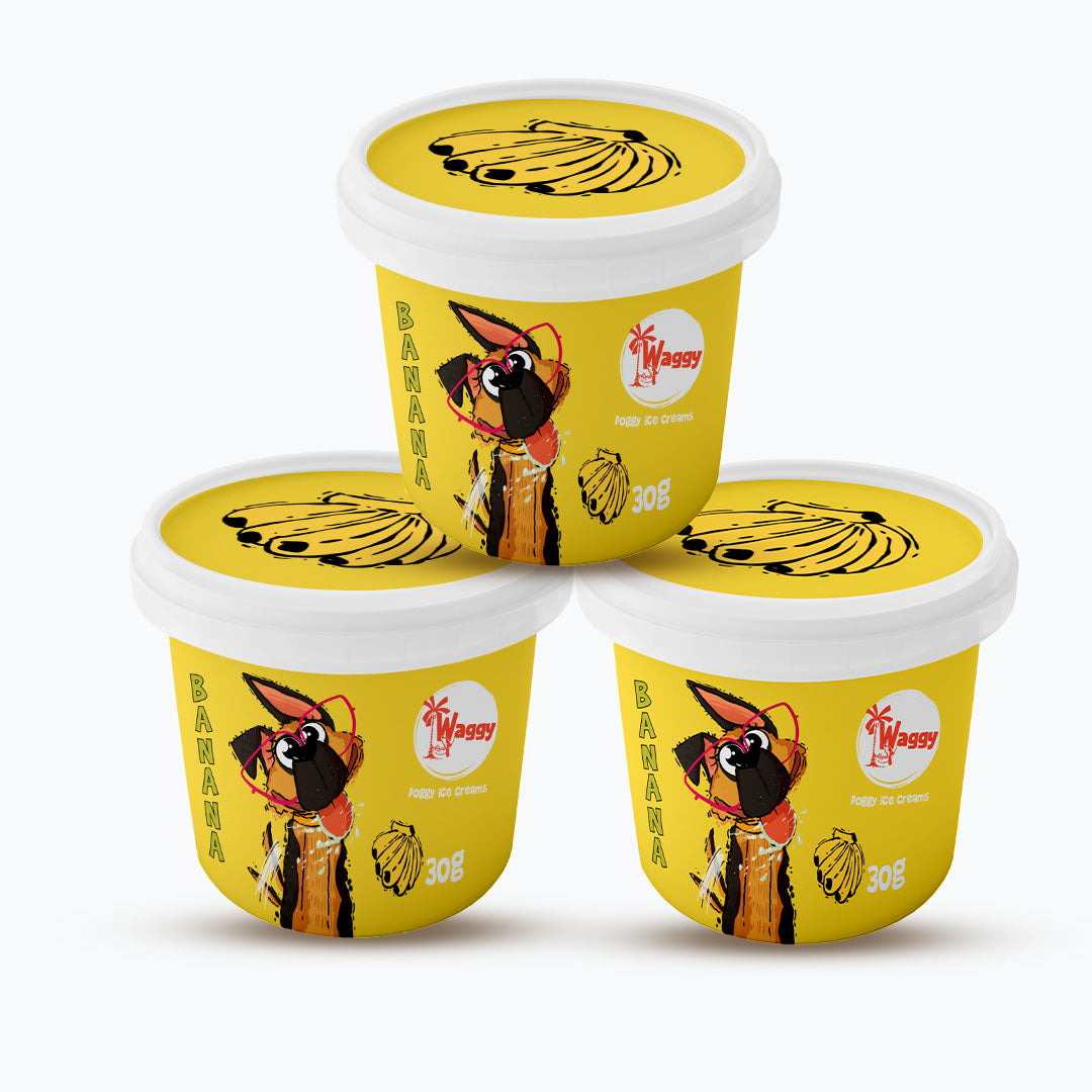 Waggy Zone Ice Cream Treat Powder - Banana 30Gm - Pack of 3