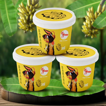 Waggy Zone Ice Cream Treat Powder - Banana 30Gm - Pack of 3